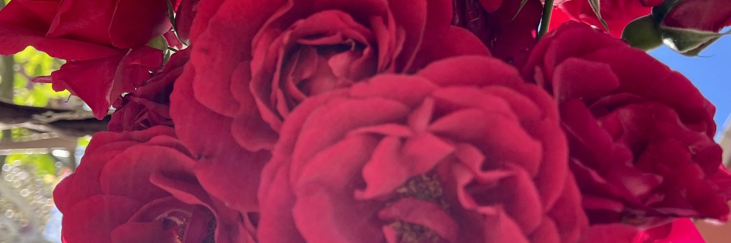 sevalalayan's profile banner image