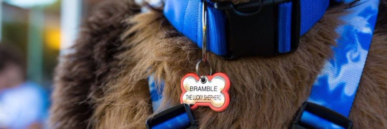 brambu's profile banner image