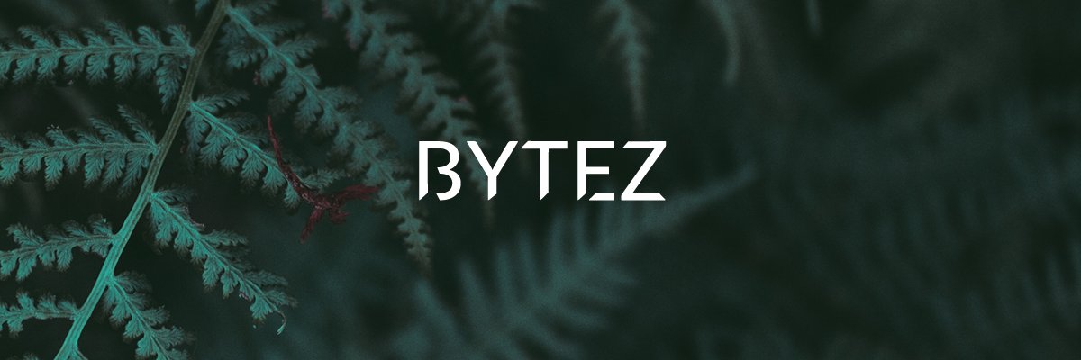 BytezNL's profile banner image
