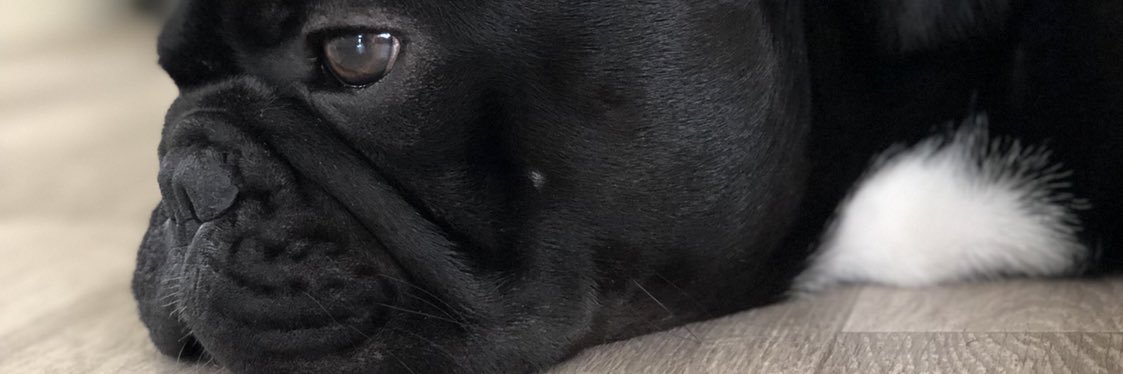 Lizboh's profile banner image