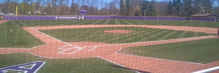Albion Baseball banner