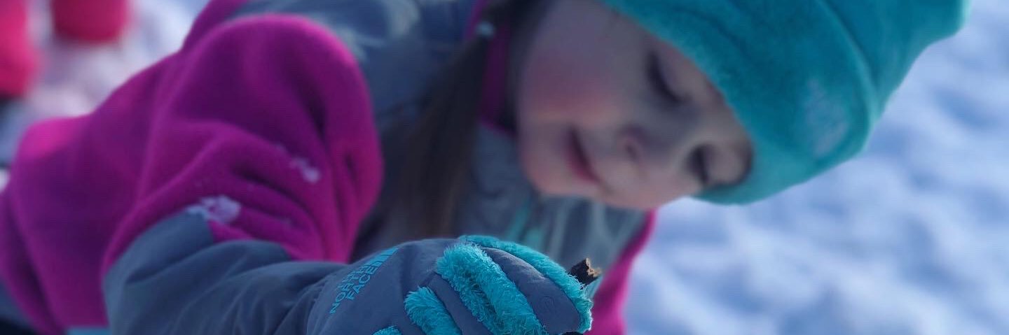 JuliaDavoli's profile banner image