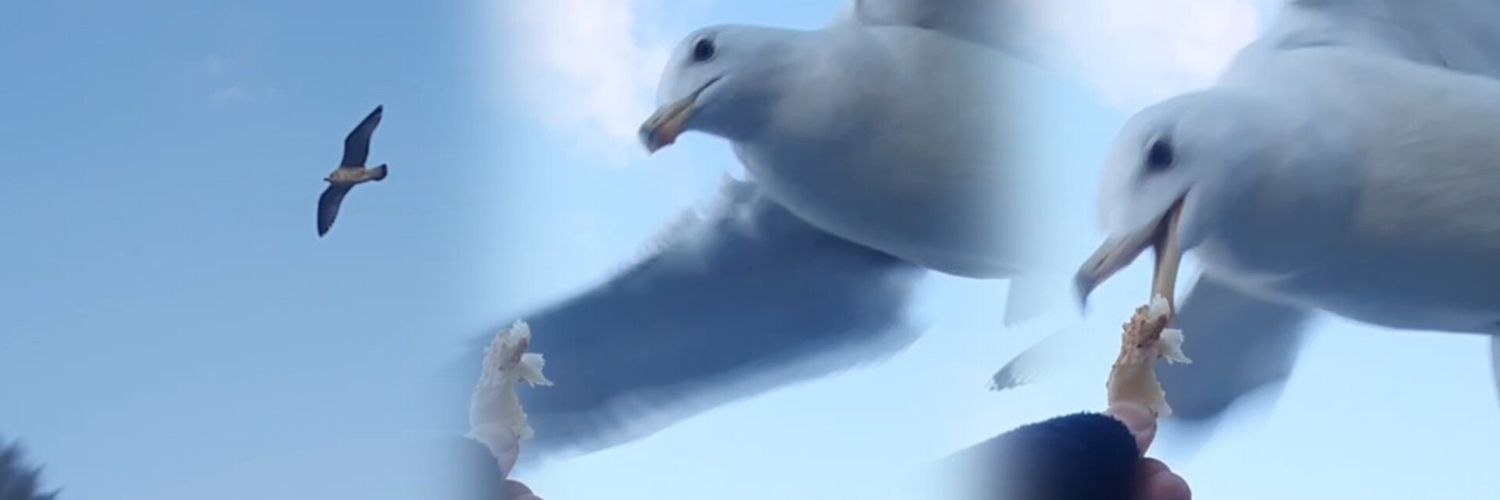 nly_84's profile banner image