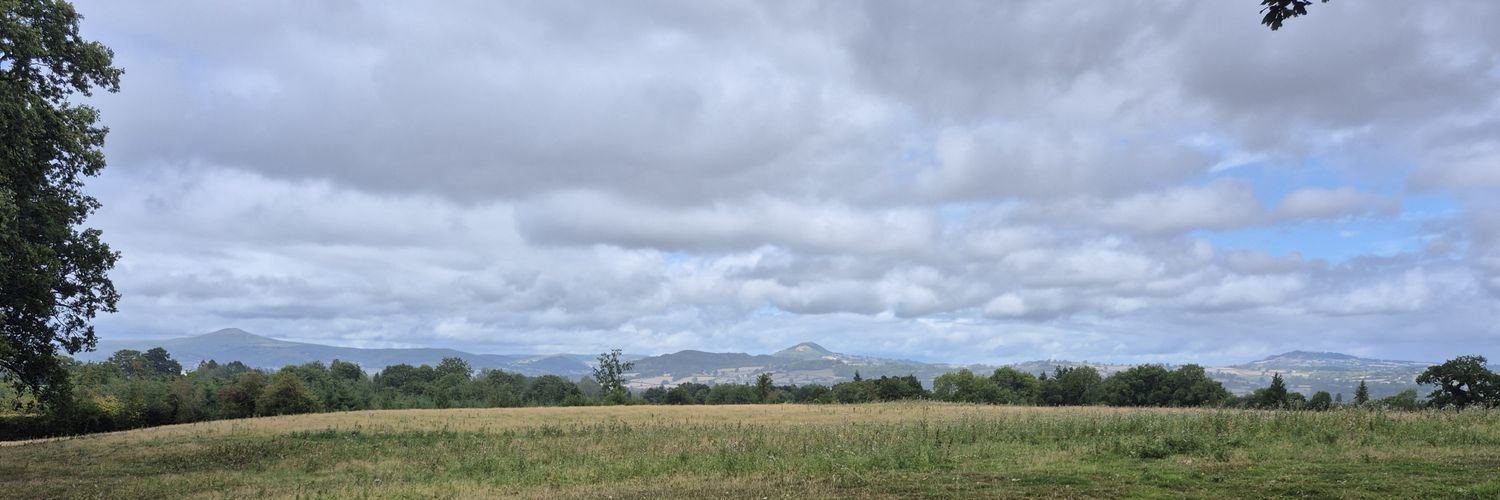 Elin Gregory @elingregory@toot.wales banner