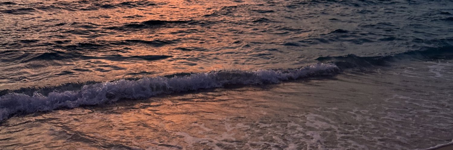 thalsanousi's profile banner image