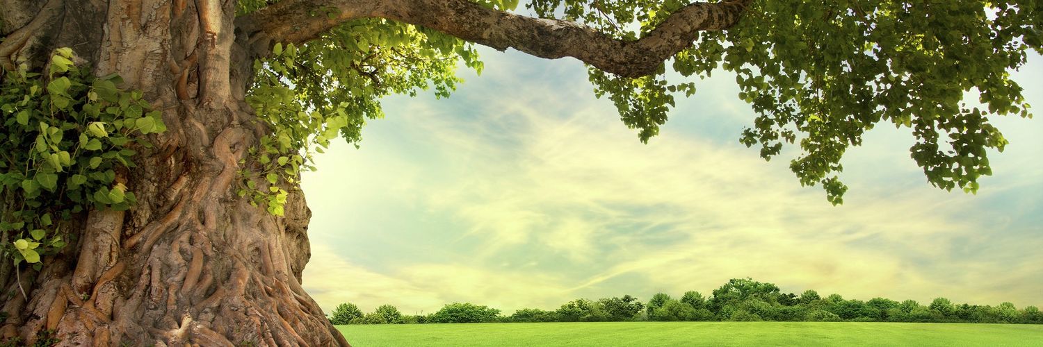 Ian Rathke banner