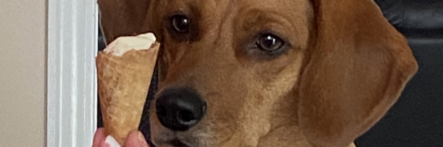 C_Morris15's profile banner image
