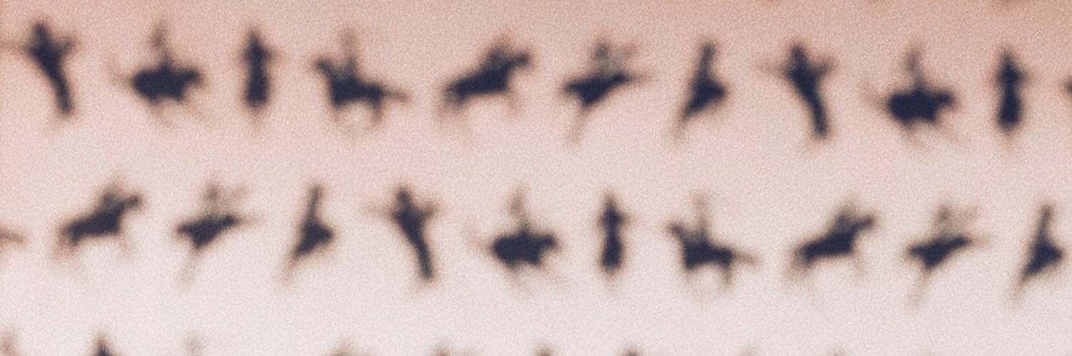 shresays's profile banner image