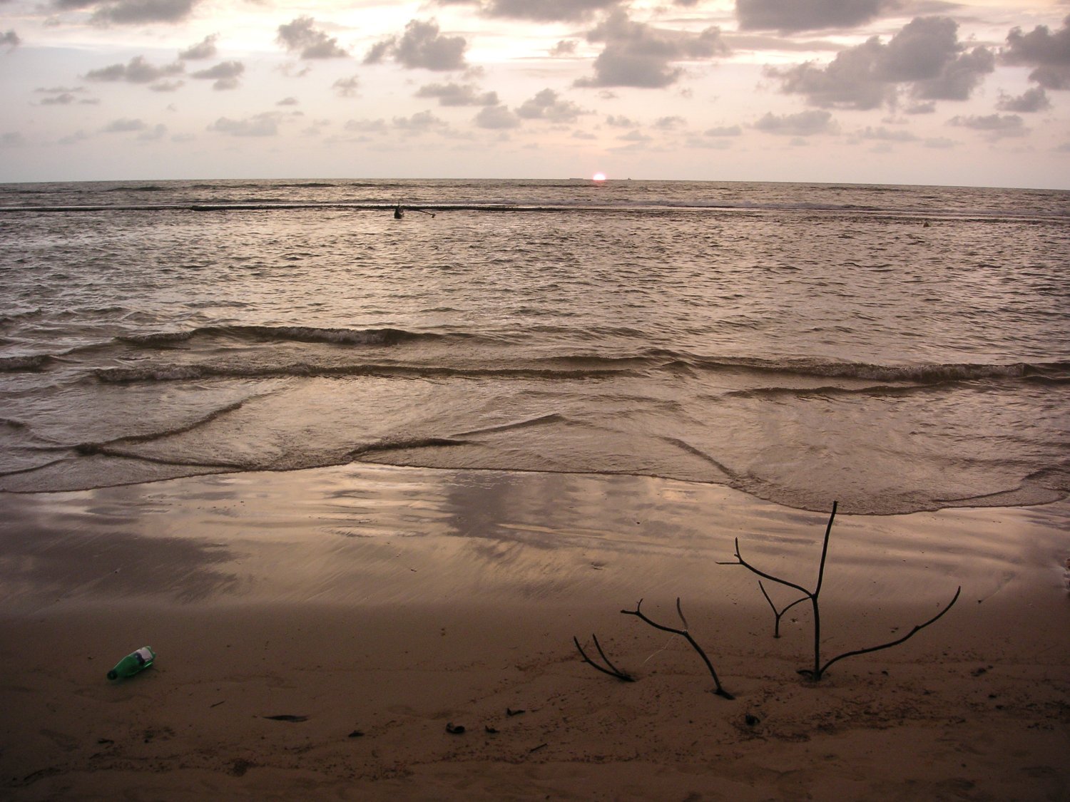 carolinebrien's profile banner image