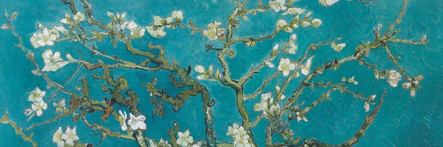 canesthesia_01's profile banner image