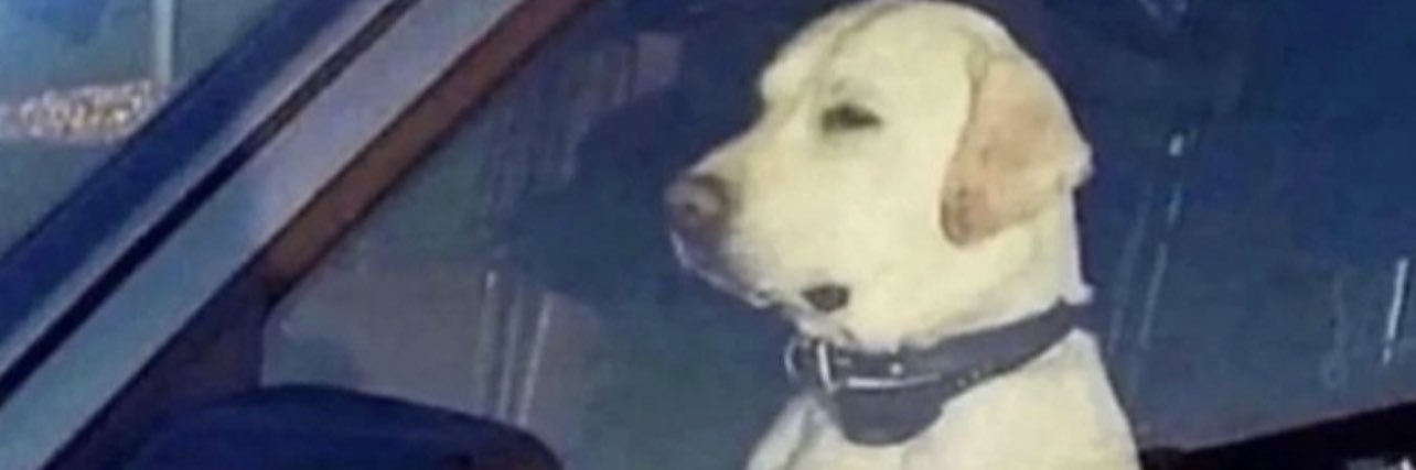 BallinMST's profile banner image