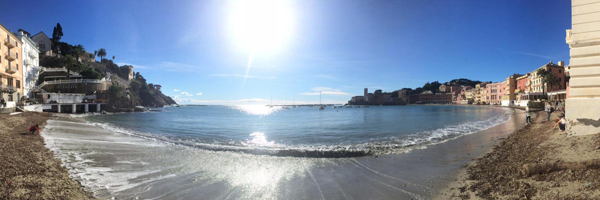 FedericaPerotta's profile banner image