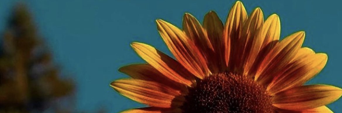 Reaneshaaaa's profile banner image
