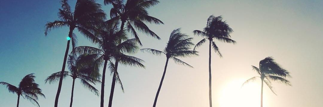 amandalestari's profile banner image