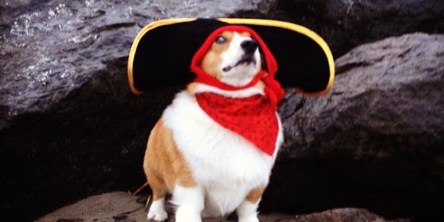 DanGaylord's profile banner image