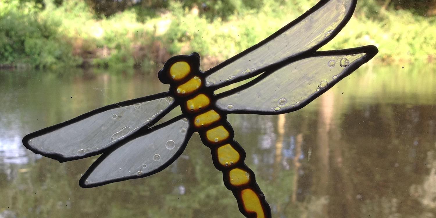 limanthus's profile banner image
