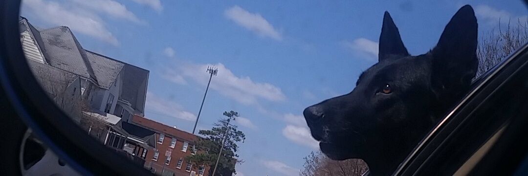 Bri_Baker14's profile banner image