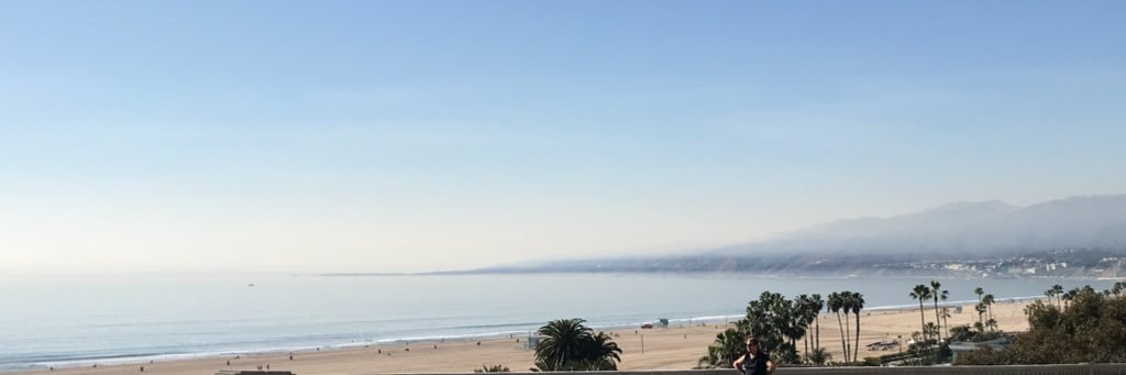 Pam Springsteen banner