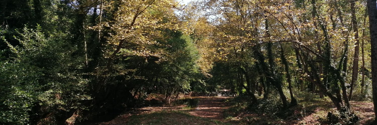 melisseser's profile banner image