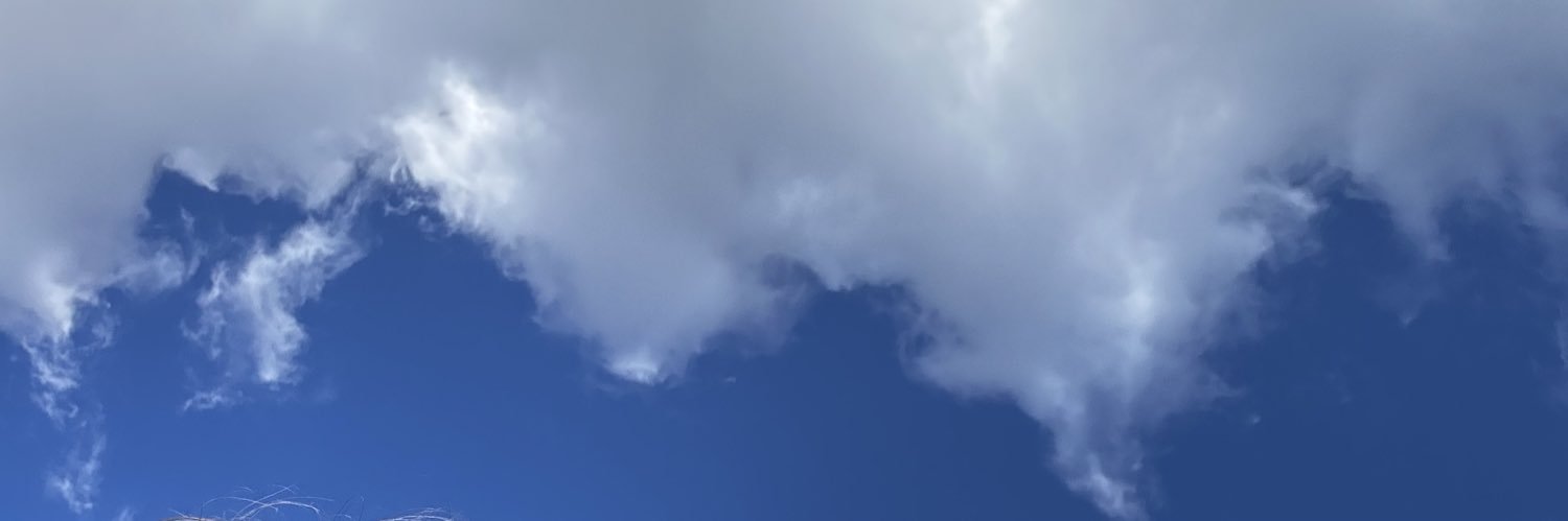 MariaaMoana's profile banner image