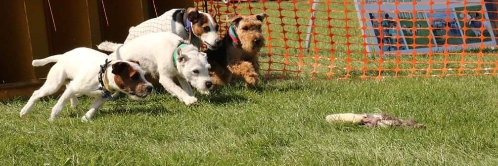 Divena Chambers banner