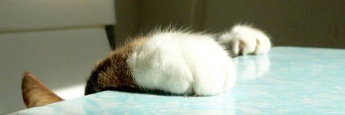 あまもん banner