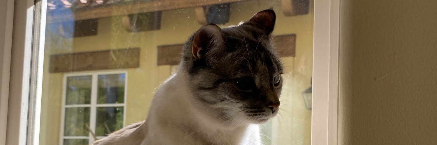 ILoveFries168 banner