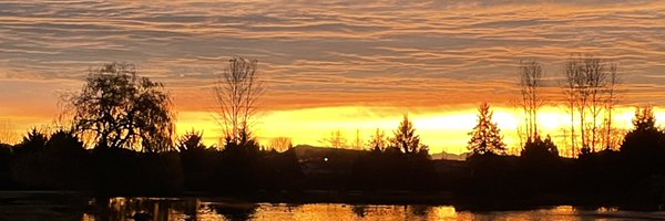 xest91x Profile Banner