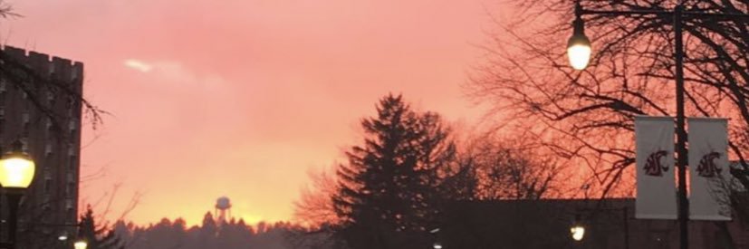 babsmaxxing's profile banner image