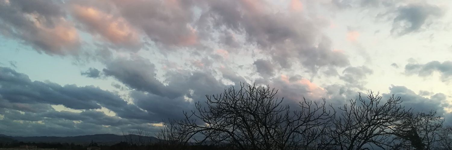 isabelladentro's profile banner image