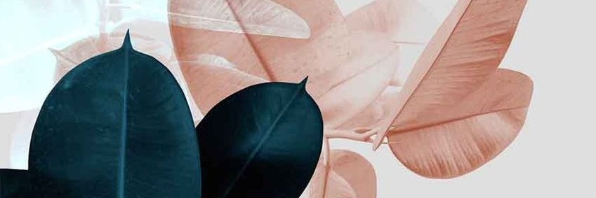 mathildesch1's profile banner image