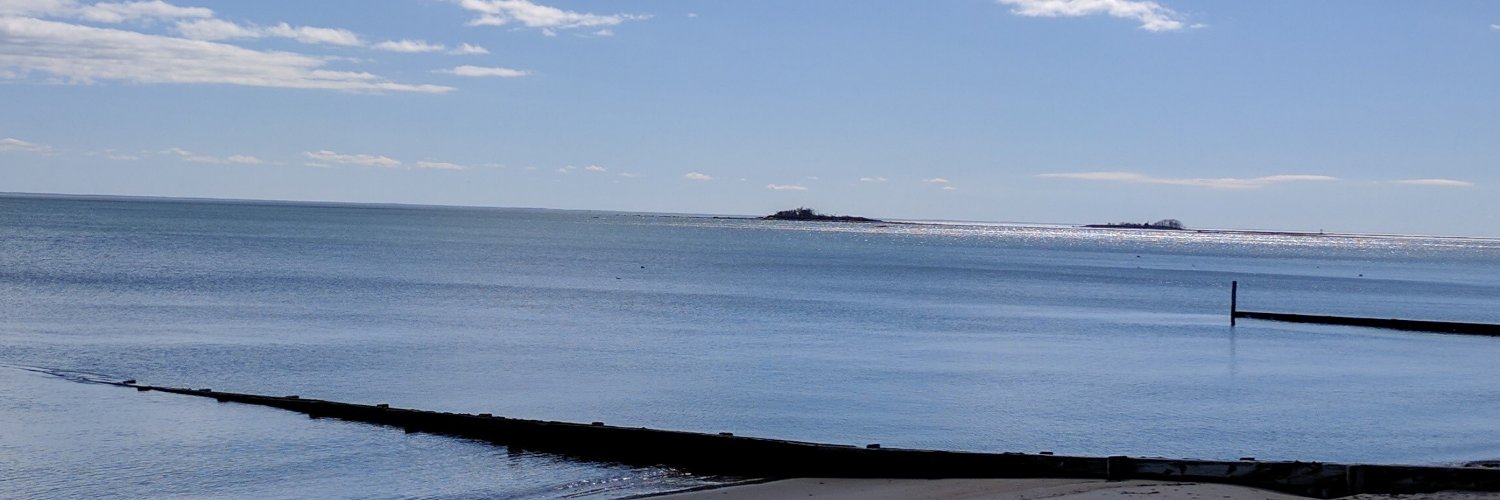 AnnBrookesCT's profile banner image