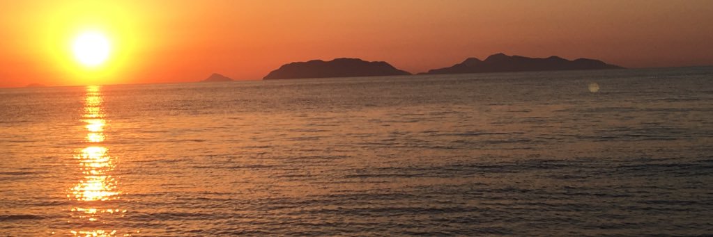 pepsgro's profile banner image