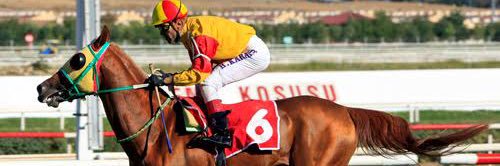 Hayati altın banner