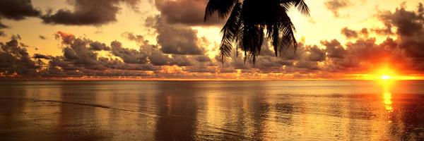 bjelkin Profile Banner