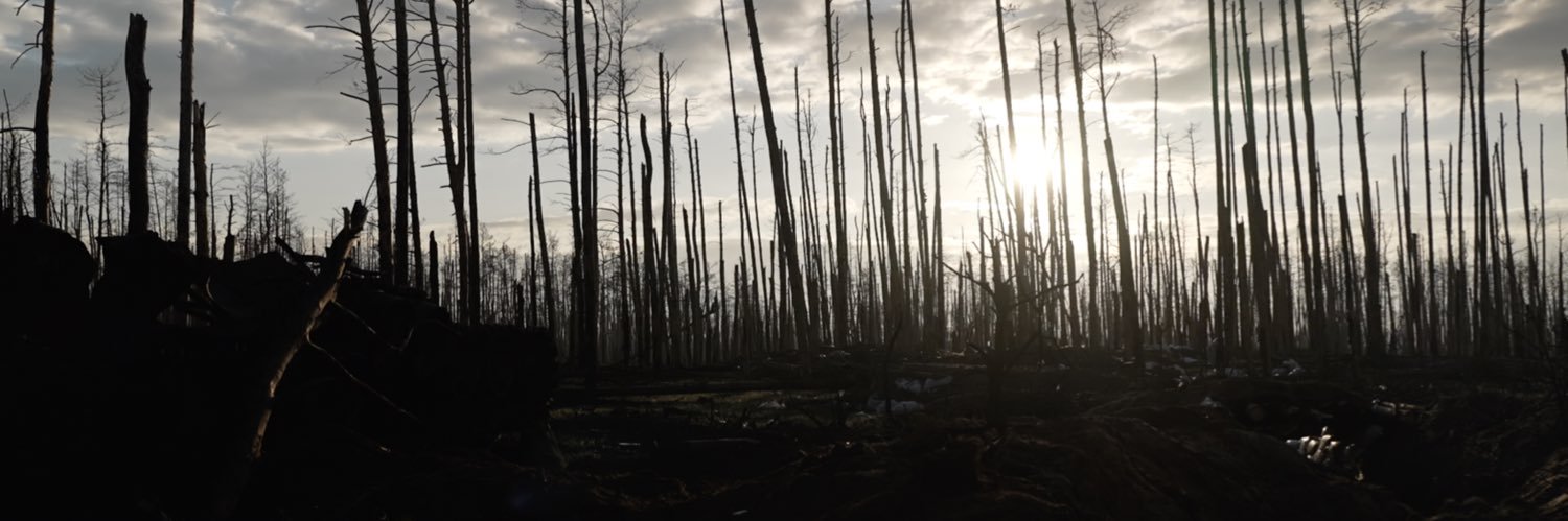 Florian Le Moal banner