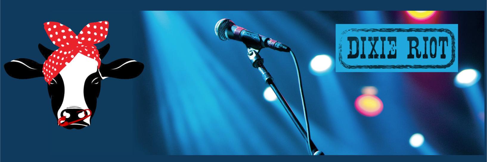 dixie_riot's profile banner image