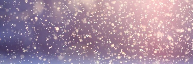 AmandaStarry3's profile banner image