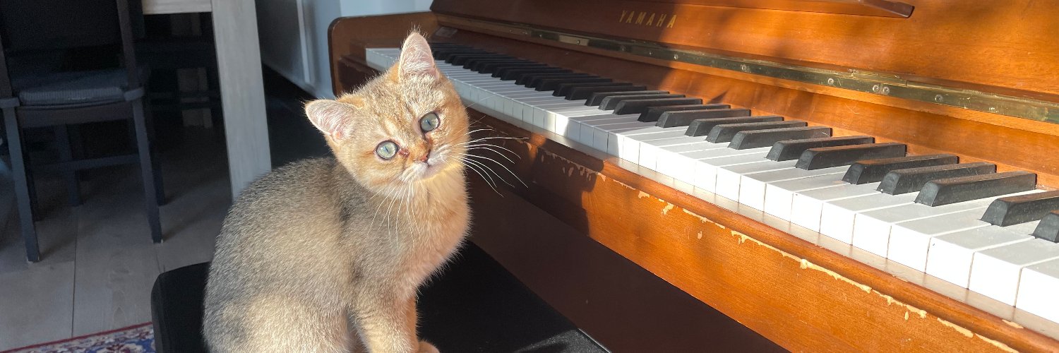 Babette Pluim banner