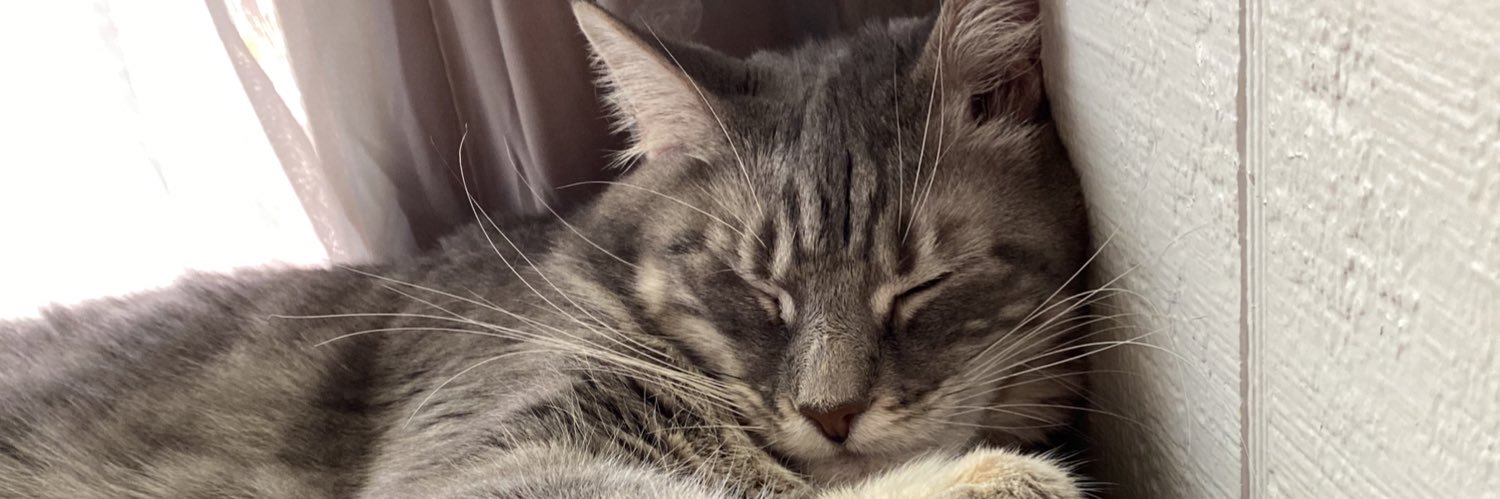 czerzy's profile banner image