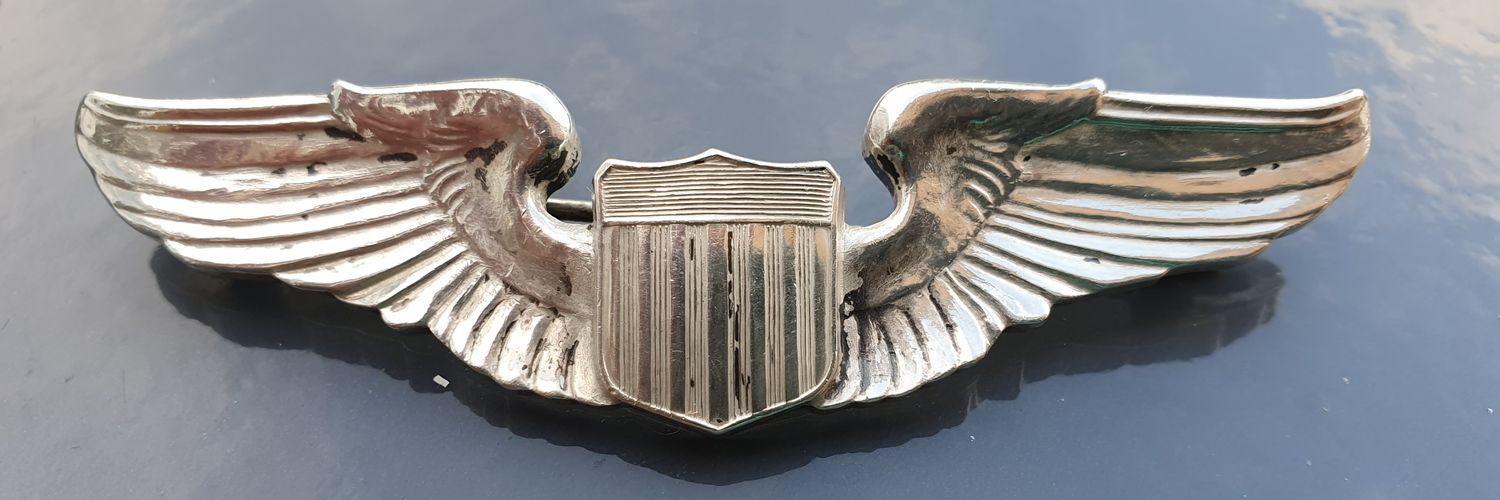 Lisa_McC_ ⚖️🐭 banner