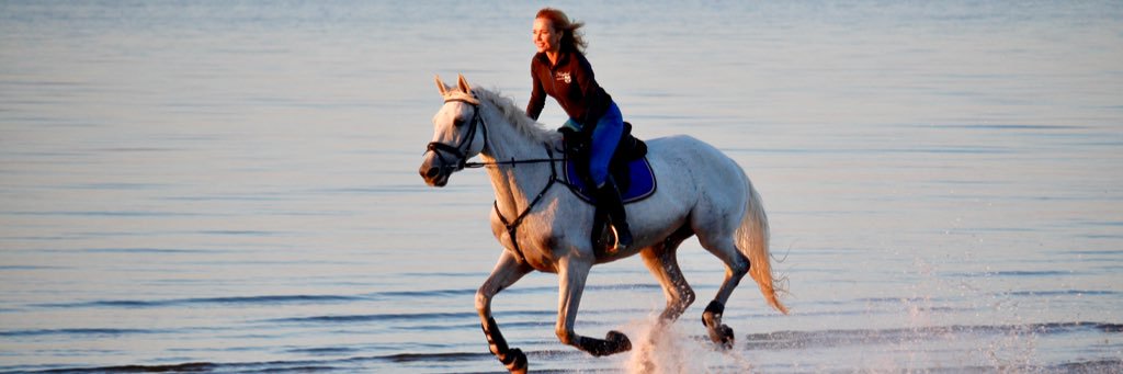 sandra_kukule's profile banner image
