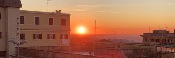 NoemiLisi's profile banner image