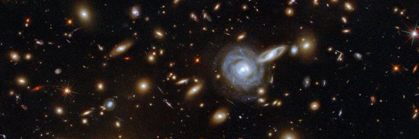 aurorag_t Profile Banner