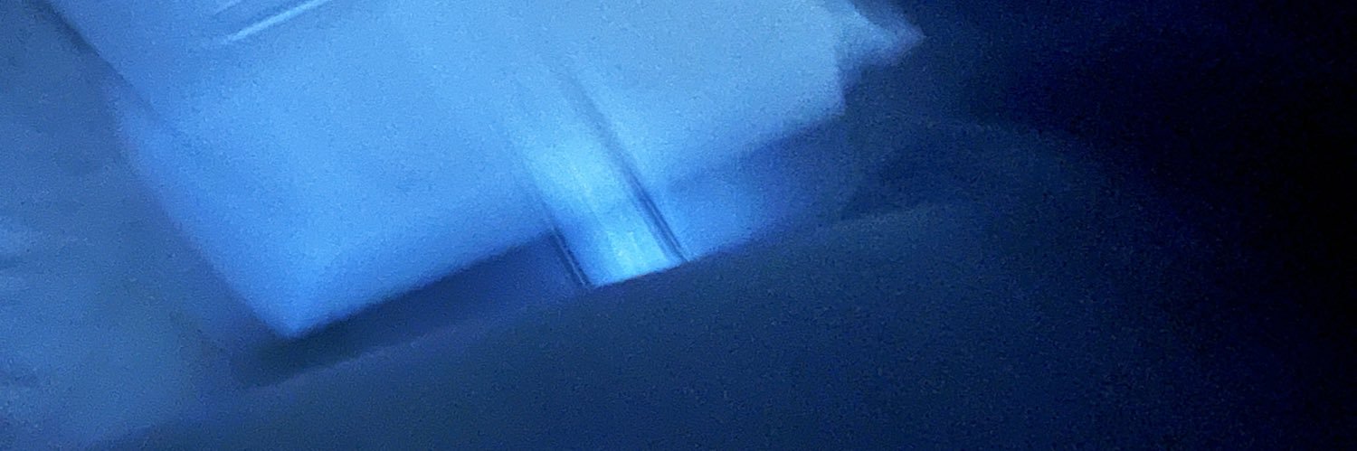 danielle banner