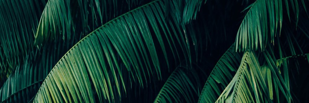 KevFfrench's profile banner image