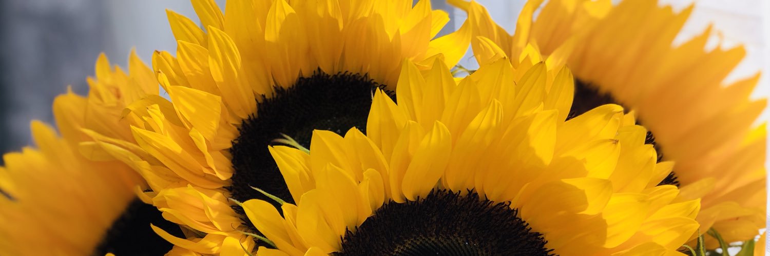 mvryvx's profile banner image