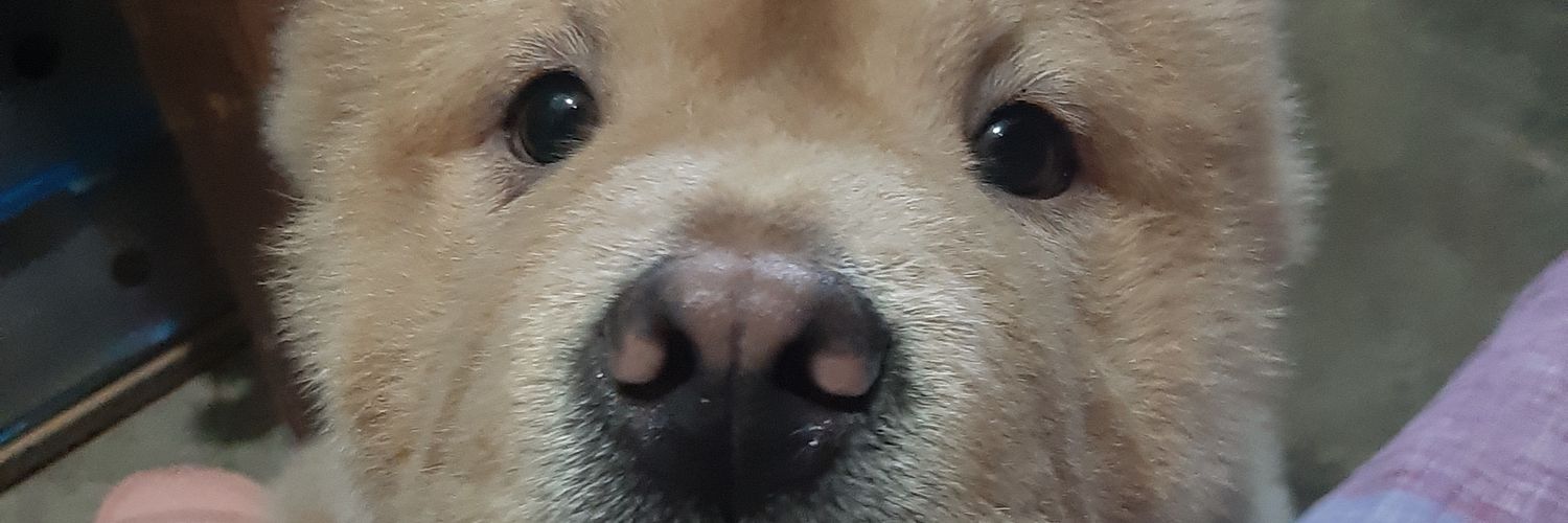 katecasanova's profile banner image