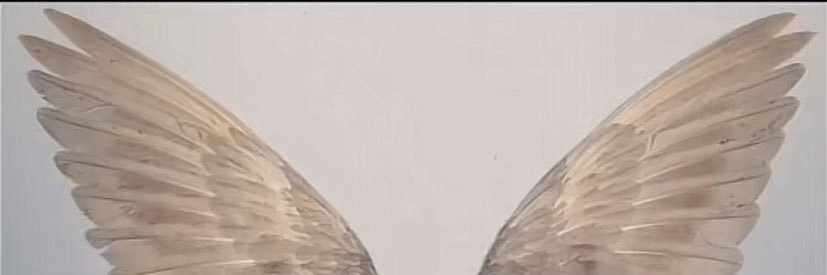 _9wo_'s profile banner image
