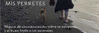 misperretes's profile banner image